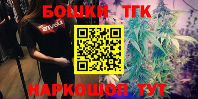 мдпв Аргун